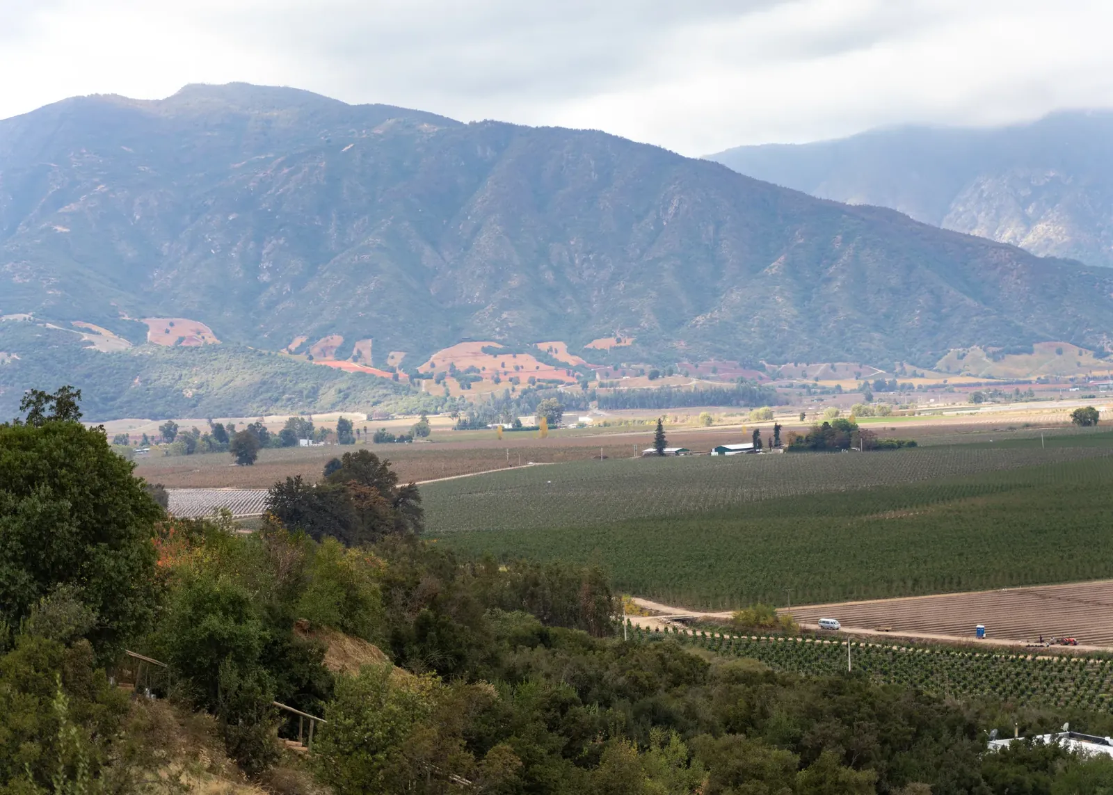 El valle de Apalta visto desde la ladera, con los viñedos abajo.